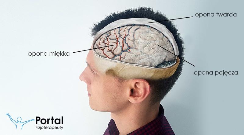 Dobór opon miękka mieszanka